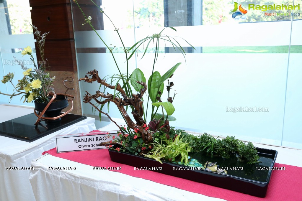 Ikebana Exhibiton at Gandhi Centenary Hall, Nampally