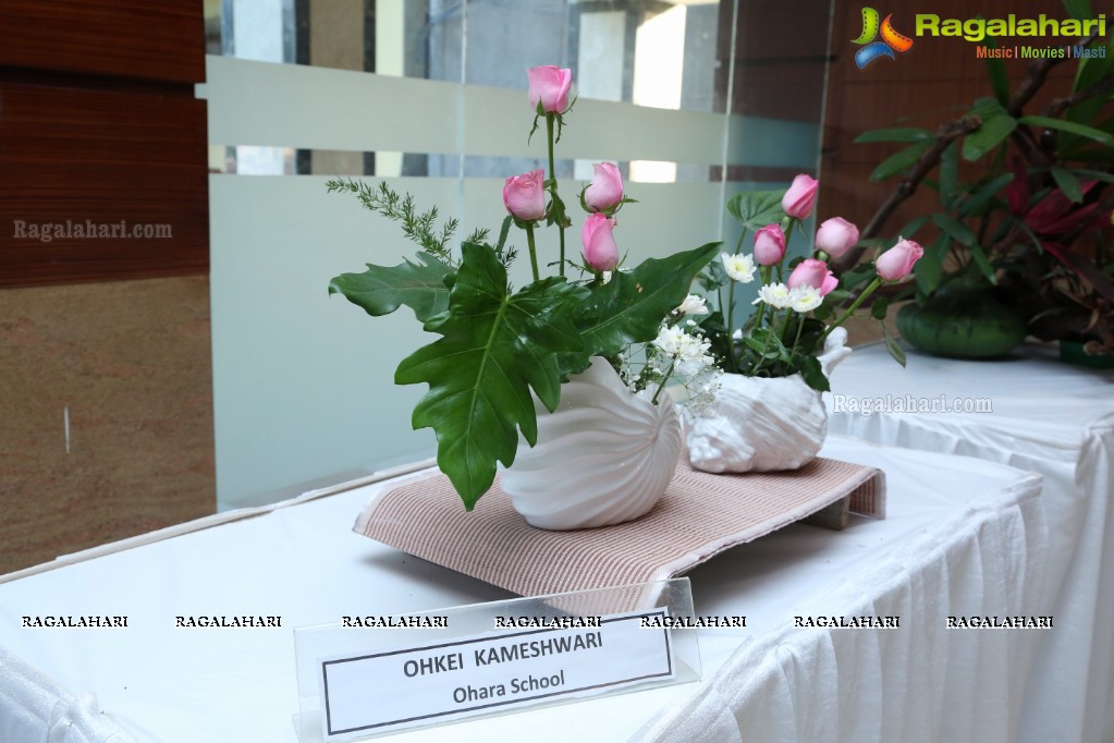 Ikebana Exhibiton at Gandhi Centenary Hall, Nampally