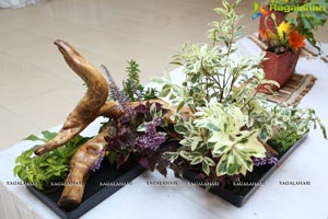 Ikebana Exhibiton