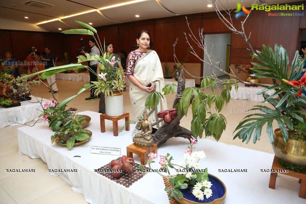 Ikebana Exhibiton at Gandhi Centenary Hall, Nampally