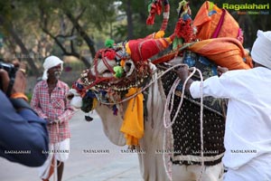 Sankranthi Sandadi