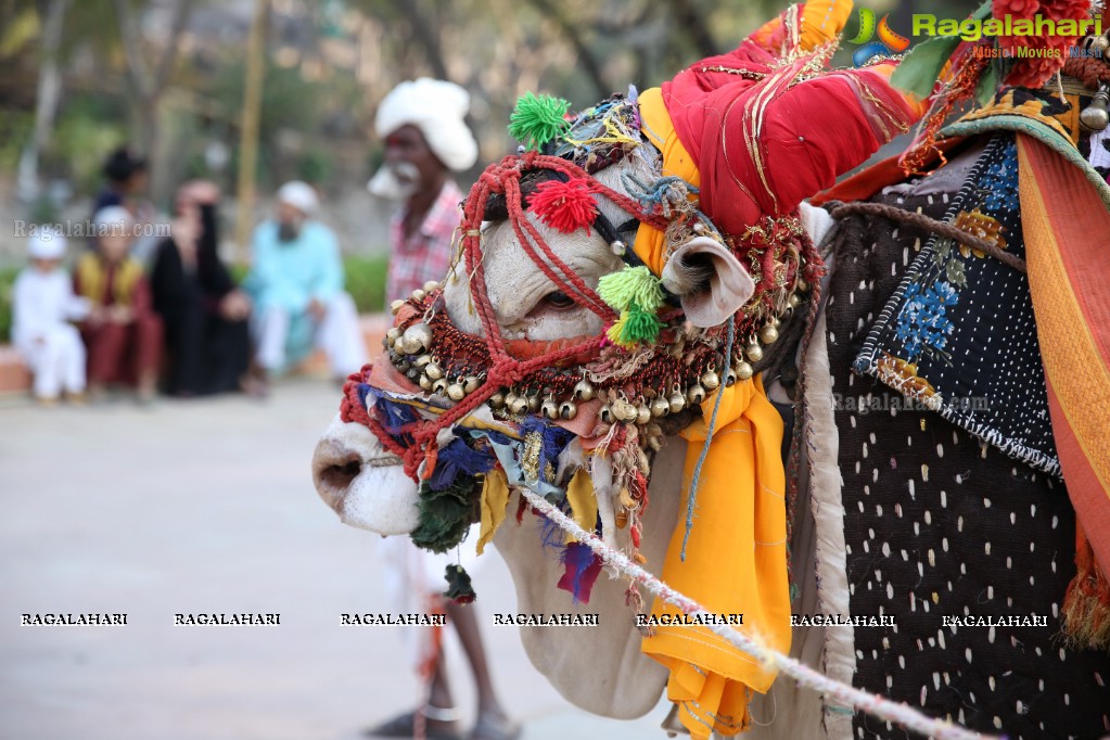 Sankranthi Sandadi at Shilparamam