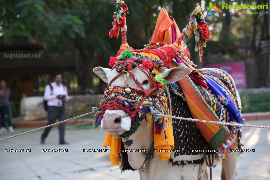 Sankranthi Sandadi at Shilparamam