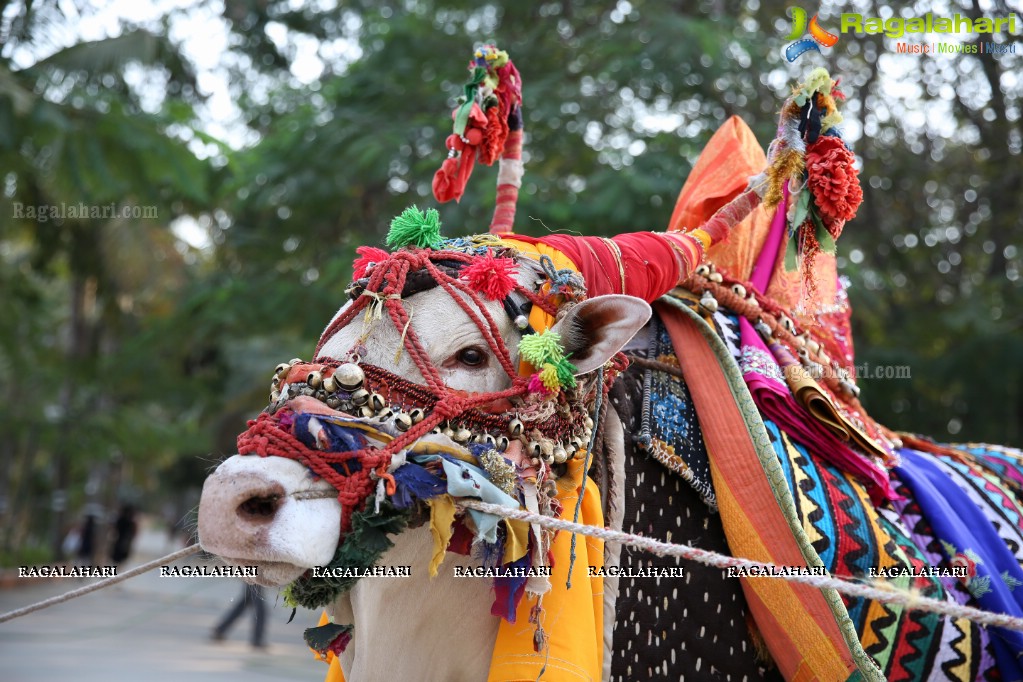 Sankranthi Sandadi at Shilparamam