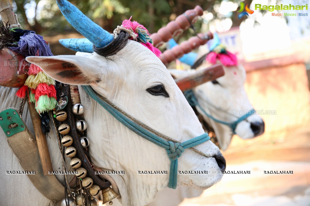 Sankranthi Sandadi at Shilparamam