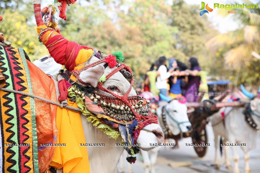 Sankranthi Sandadi at Shilparamam