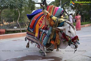 Sankranthi Sandadi