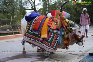 Sankranthi Sandadi