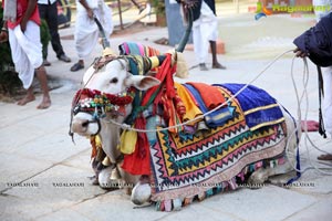 Sankranthi Sandadi