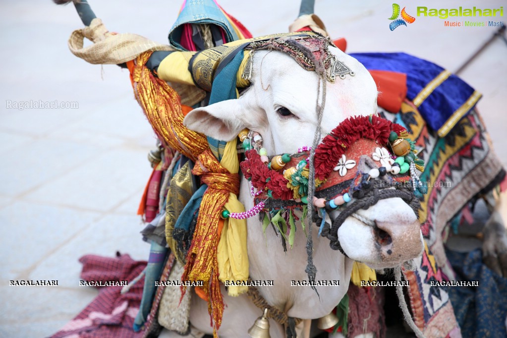 Sankranthi Sandadi at Shilparamam