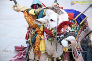 Sankranthi Sandadi