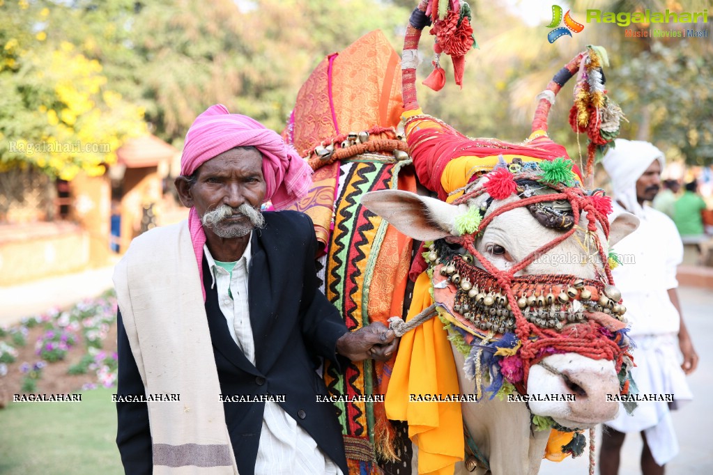 Sankranthi Sandadi at Shilparamam