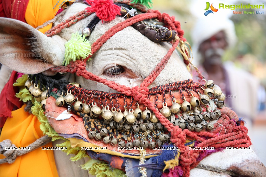 Sankranthi Sandadi at Shilparamam