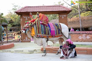 Sankranthi Sandadi