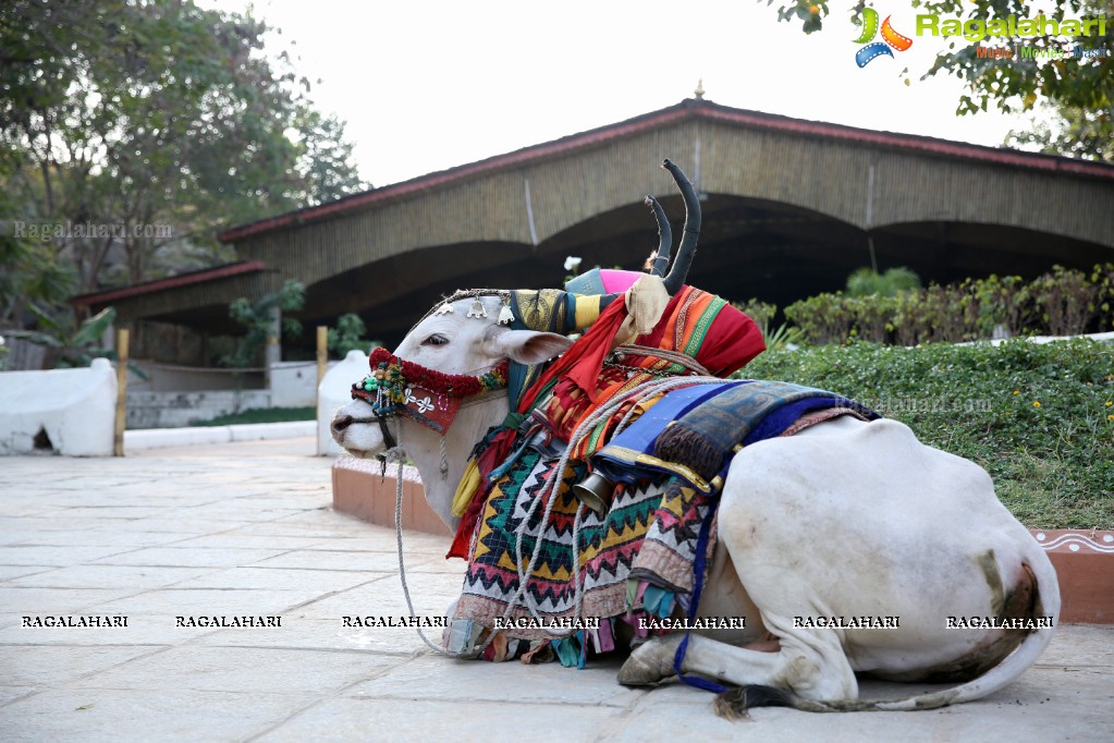 Sankranthi Sandadi at Shilparamam