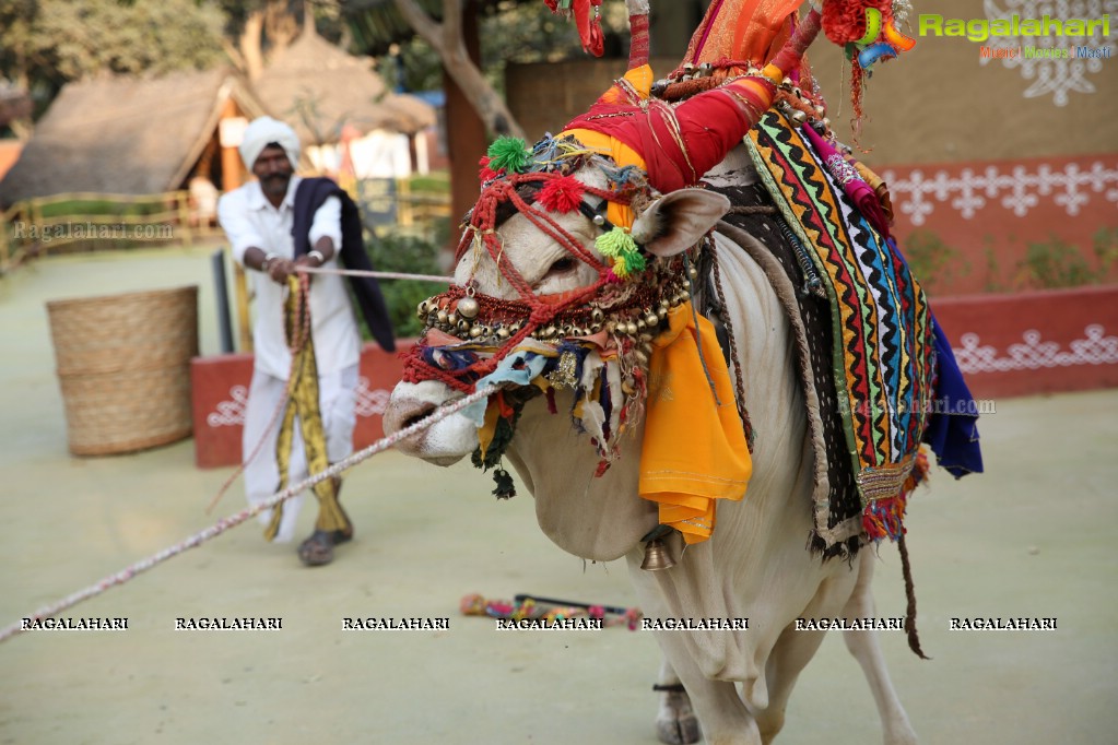 Sankranthi Sandadi at Shilparamam