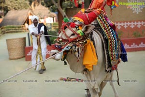 Sankranthi Sandadi