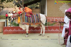 Sankranthi Sandadi