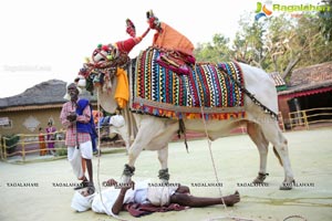 Sankranthi Sandadi