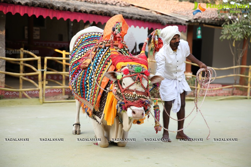 Sankranthi Sandadi at Shilparamam