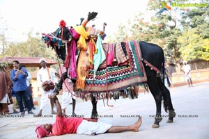 Sankranthi Sandadi