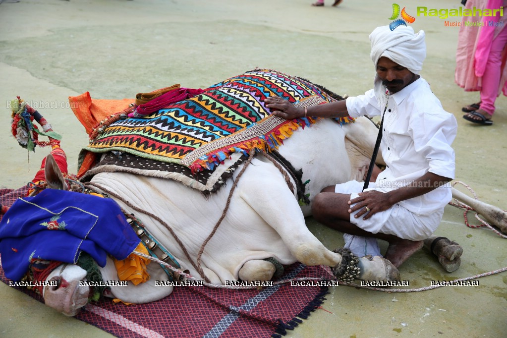 Sankranthi Sandadi at Shilparamam