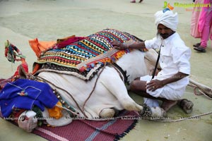 Sankranthi Sandadi