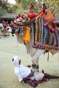 Sankranthi Sandadi