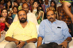 Lovers Day Audio Launch
