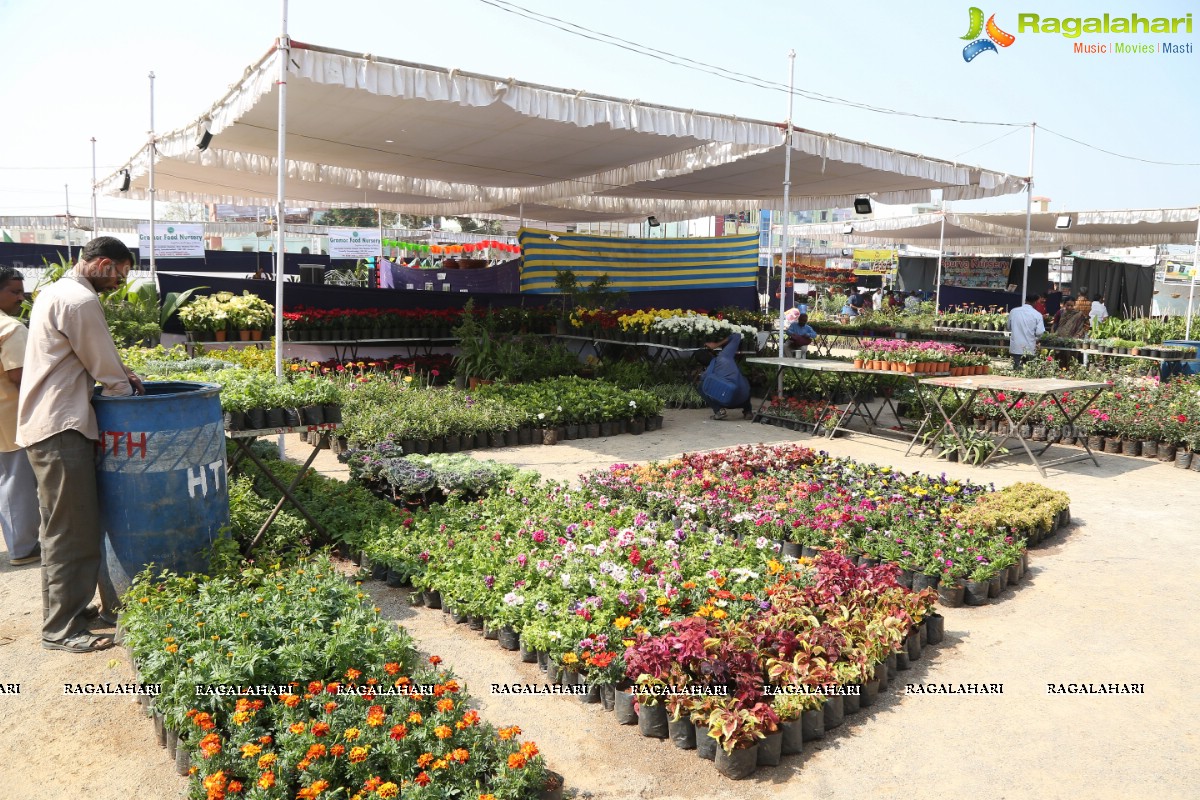 6th All India Horticulture & Agriculture Show and Grand Nursery Mela Begins 