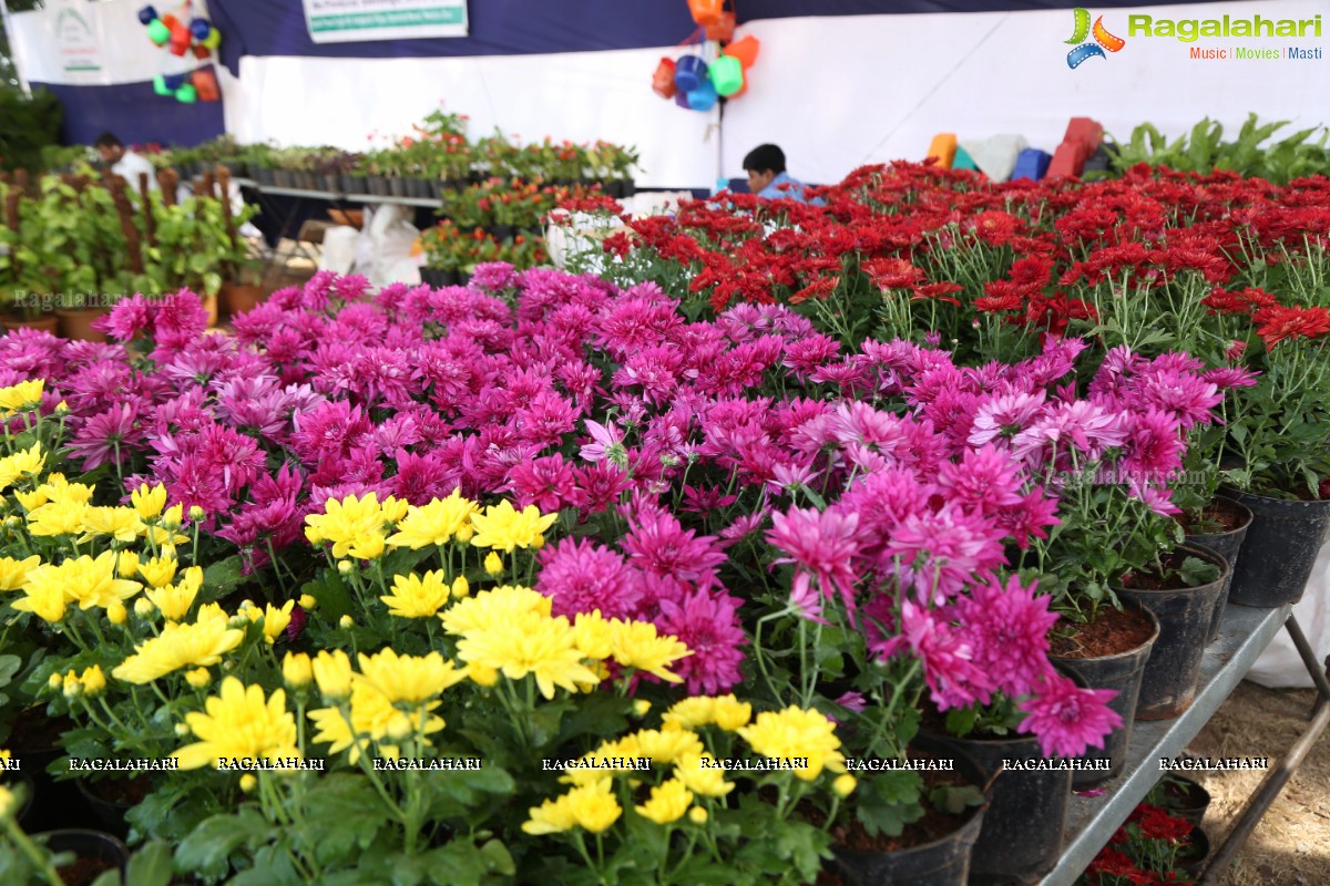 6th All India Horticulture & Agriculture Show and Grand Nursery Mela Begins 