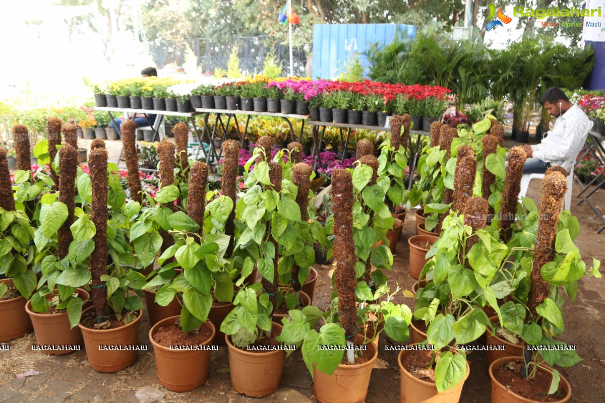 6th All India Horticulture & Agriculture Show and Grand Nursery Mela Begins 