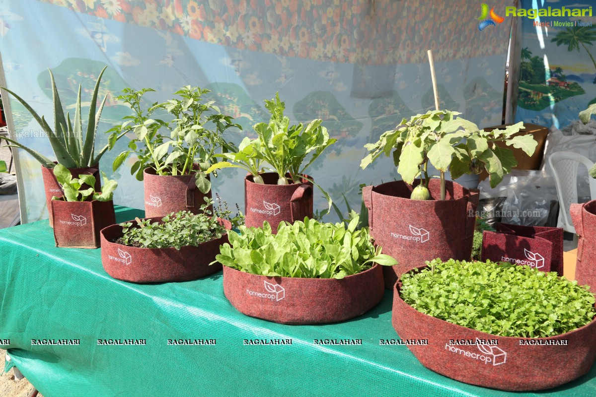 6th All India Horticulture & Agriculture Show and Grand Nursery Mela Begins 