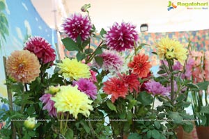 All India Horticulture & Agriculture Show & Nursery Mela