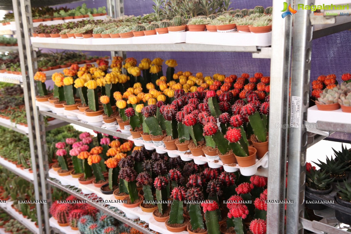 6th All India Horticulture & Agriculture Show and Grand Nursery Mela Begins 