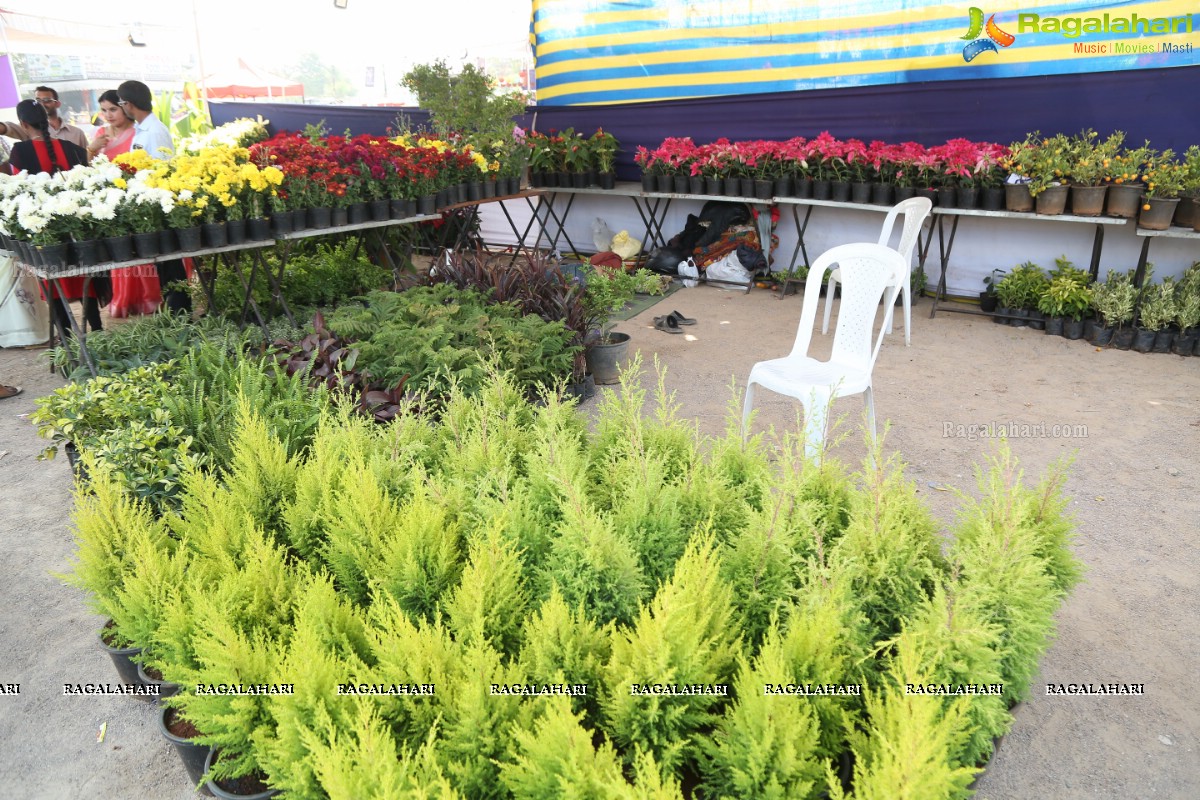 6th All India Horticulture & Agriculture Show and Grand Nursery Mela Begins 