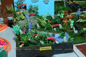 Hyderabad Public School Annual School Exhibition 2018-2019