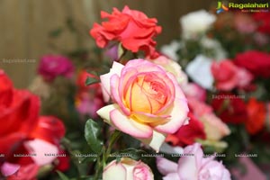 Annual Rose Show by Hyderabad Rose Society