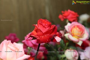 Annual Rose Show by Hyderabad Rose Society