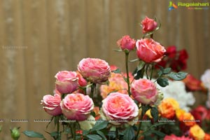 Annual Rose Show by Hyderabad Rose Society