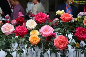 Annual Rose Show by Hyderabad Rose Society