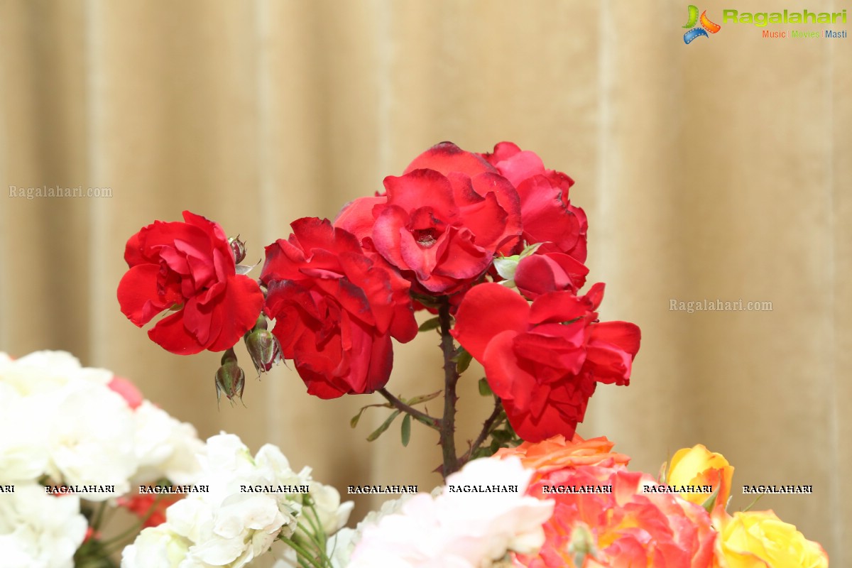 Hyderabad Rose Society Organizes 37th All India Rose Convention & Annual Rose Show