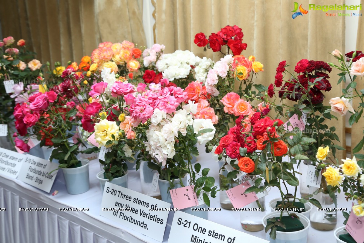 Hyderabad Rose Society Organizes 37th All India Rose Convention & Annual Rose Show