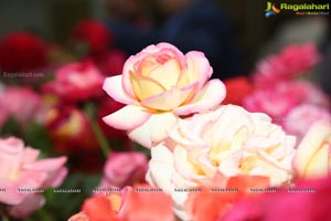 Annual Rose Show by Hyderabad Rose Society