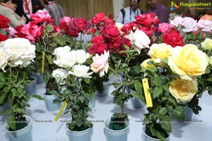 Annual Rose Show by Hyderabad Rose Society