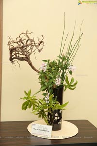 Ikebana Annual Exhibition 2019