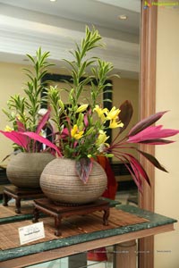 Ikebana Annual Exhibition 2019