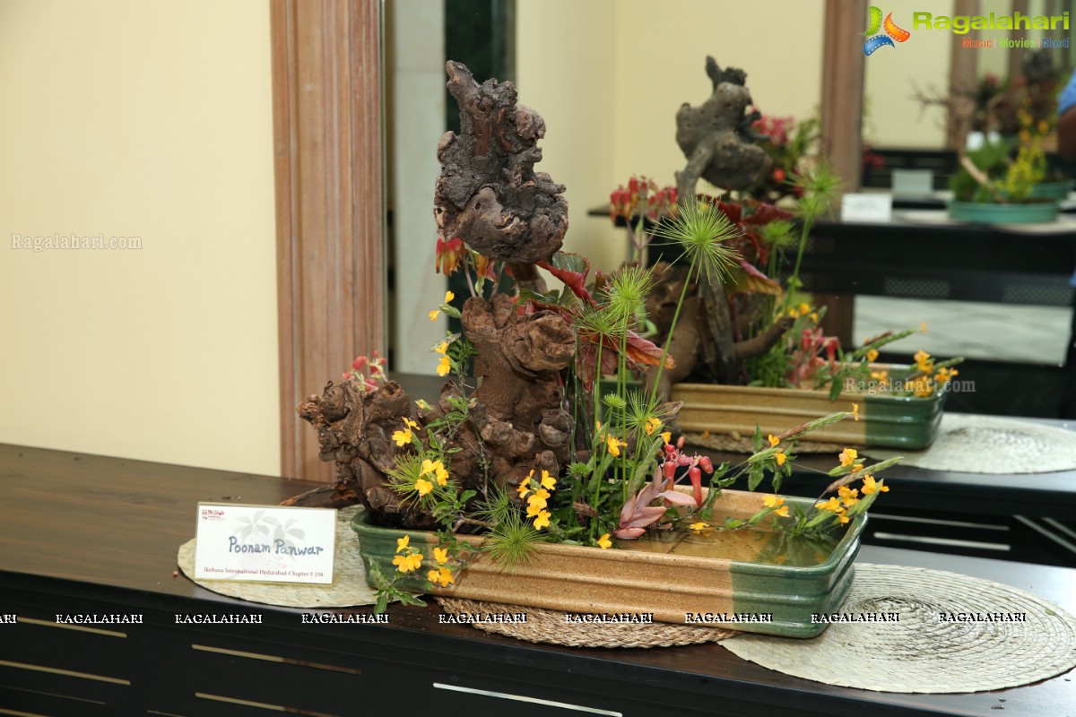 Ikebana Annual Exhibition 2019 at Hotel ITC Kakatiya