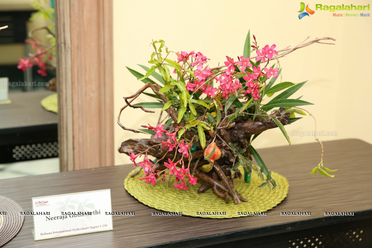 Ikebana Annual Exhibition 2019 at Hotel ITC Kakatiya