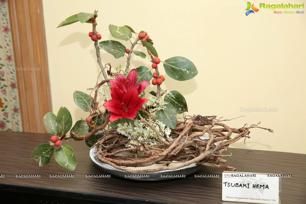 Ikebana Annual Exhibition 2019 at Hotel ITC Kakatiya